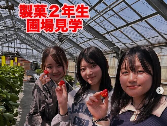 製菓2年生が苺について学ぶ圃場見学に行きました!