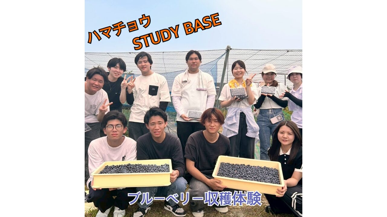 ハマチョウ　ＳＴＵＤＹ　ＢＡＳＥ　ブルーベリー収穫体験