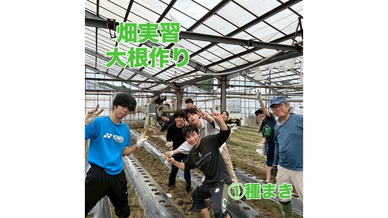 畑実習大根づくり　種まき①