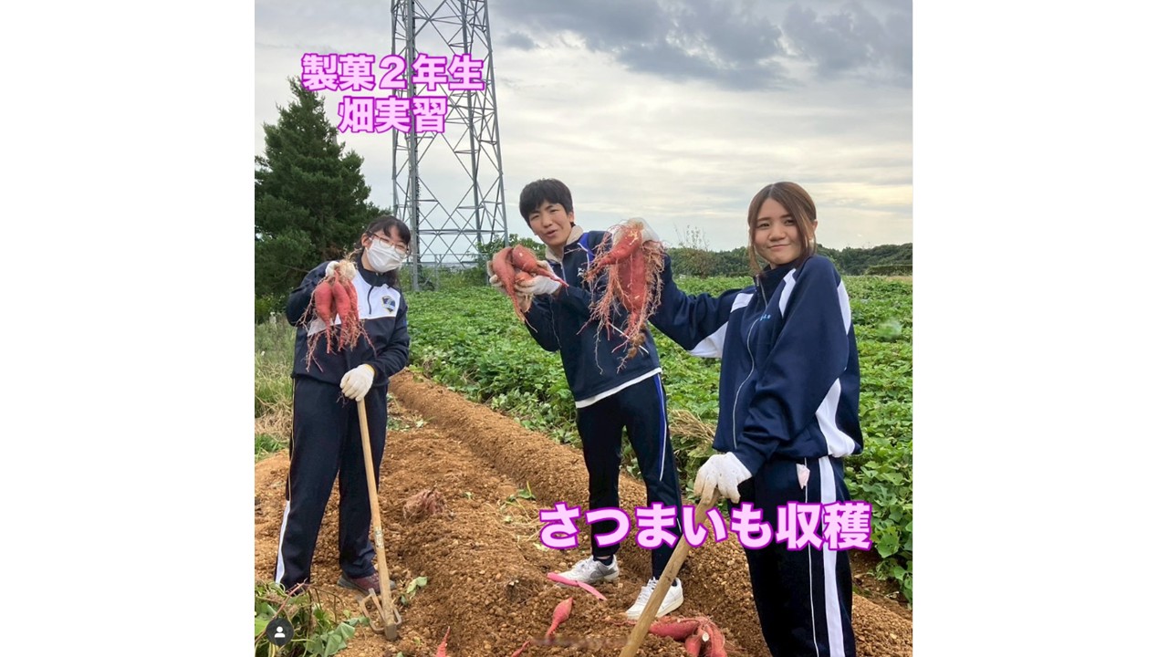 製菓２年生　畑実習