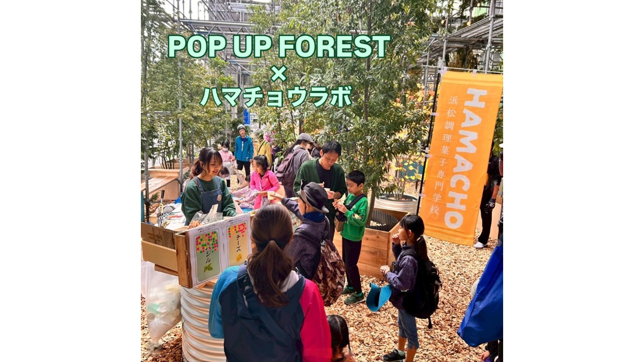 POP UP FOREST ×　ハマチョウラボ