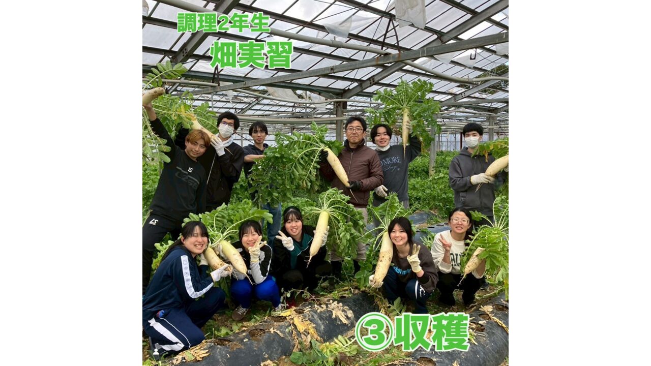 料理２年生　畑実習