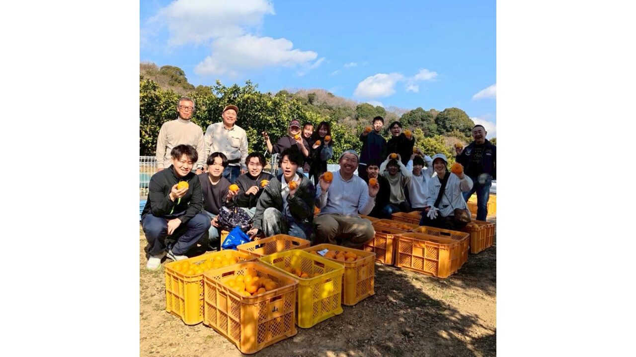 みかん狩り体験