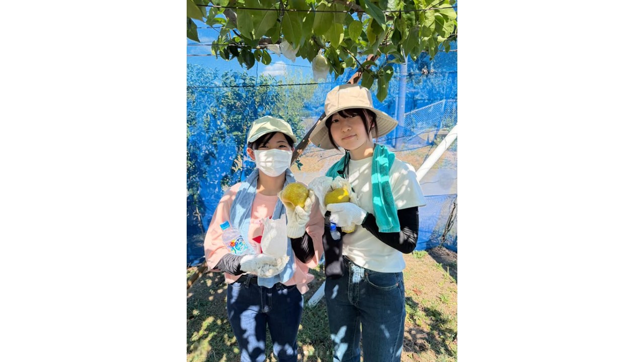 ハマチョウラボ始動